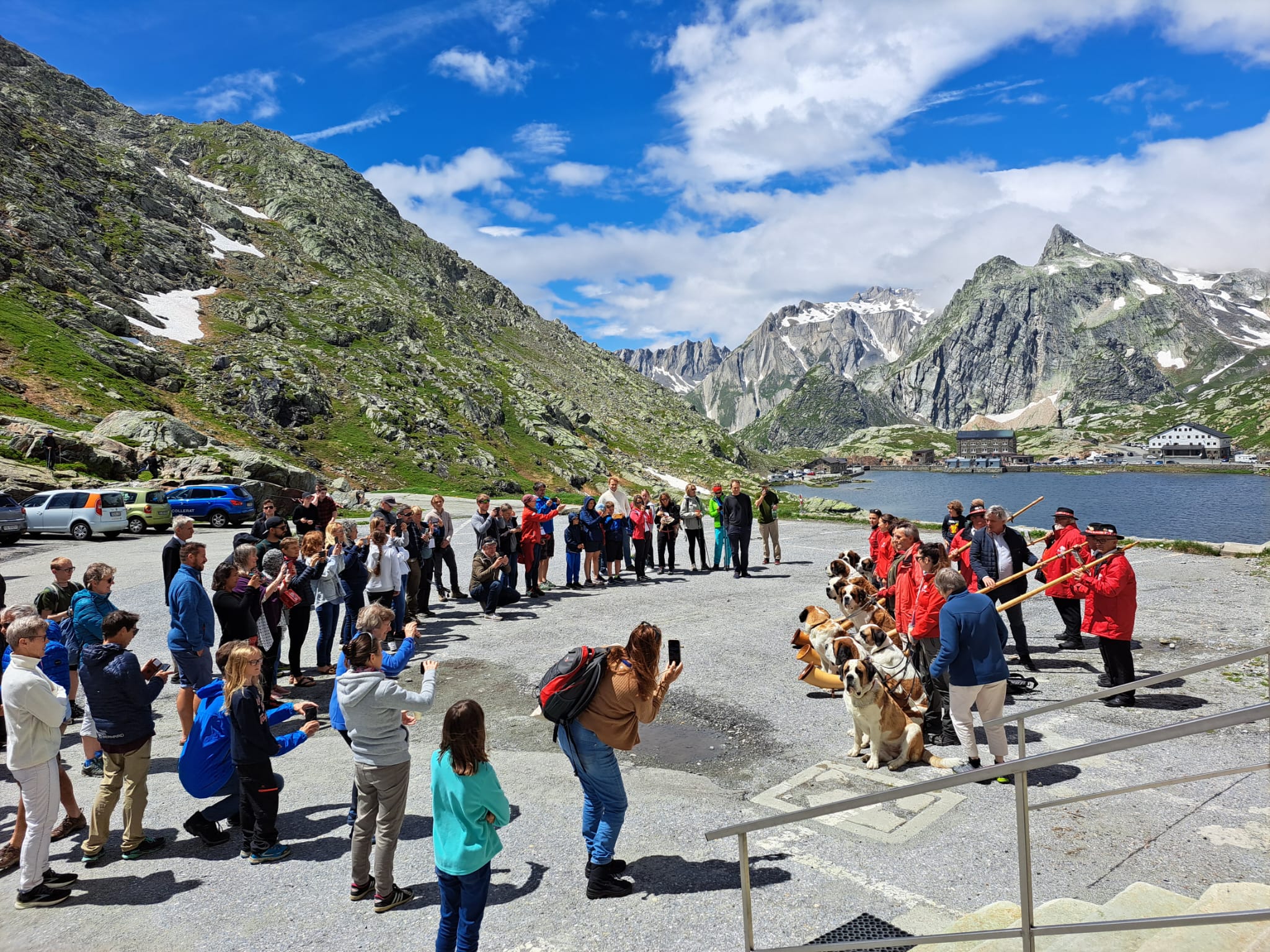 Les chiens de la Fondation Barry à Martigny ont rejoint leur résidence historique